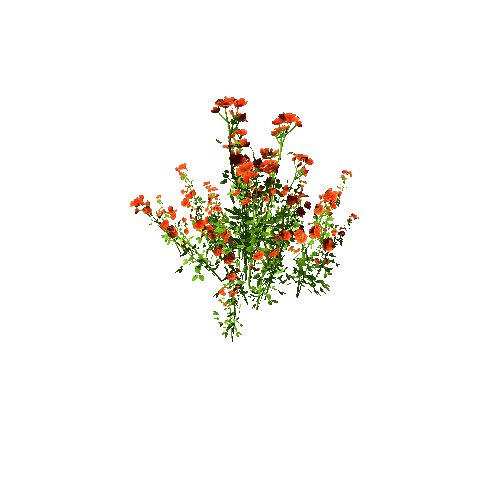 FlowersClump_Red A (Optimized)
